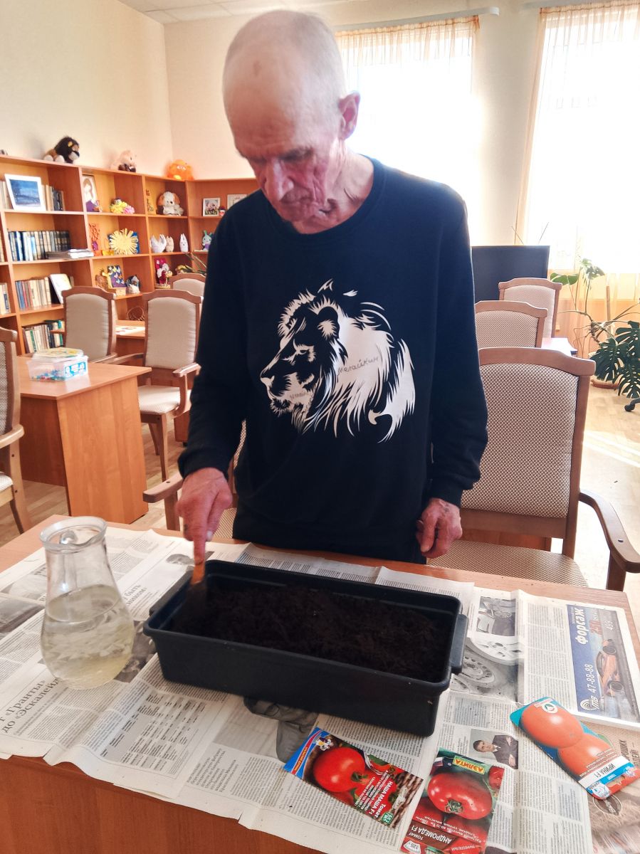 Посадка семян томатов на рассаду